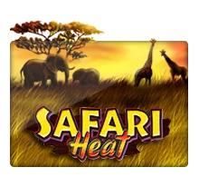 Safari Heat - LUCKYGAMING138