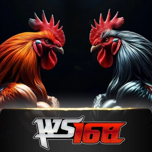 Ws168 Sabung - LUCKYGAMING138