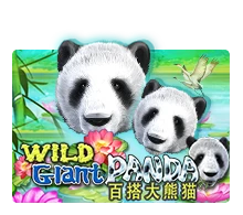 Wild Giant Panda - LUCKYGAMING138