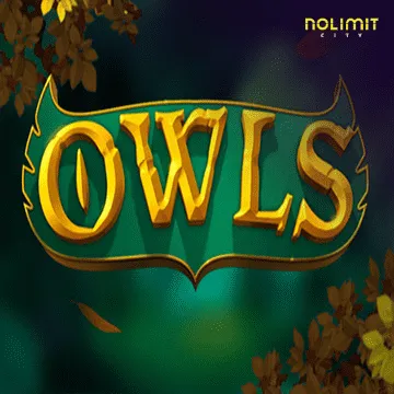 Owls - LUCKYGAMING138