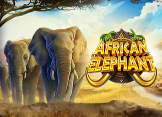 African Elephant - LUCKYGAMING138